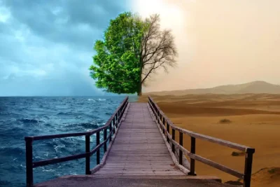 کمپ ترک اعتیاد شبانه‌روزی چه خدماتی ارائه می‌دهد؟
